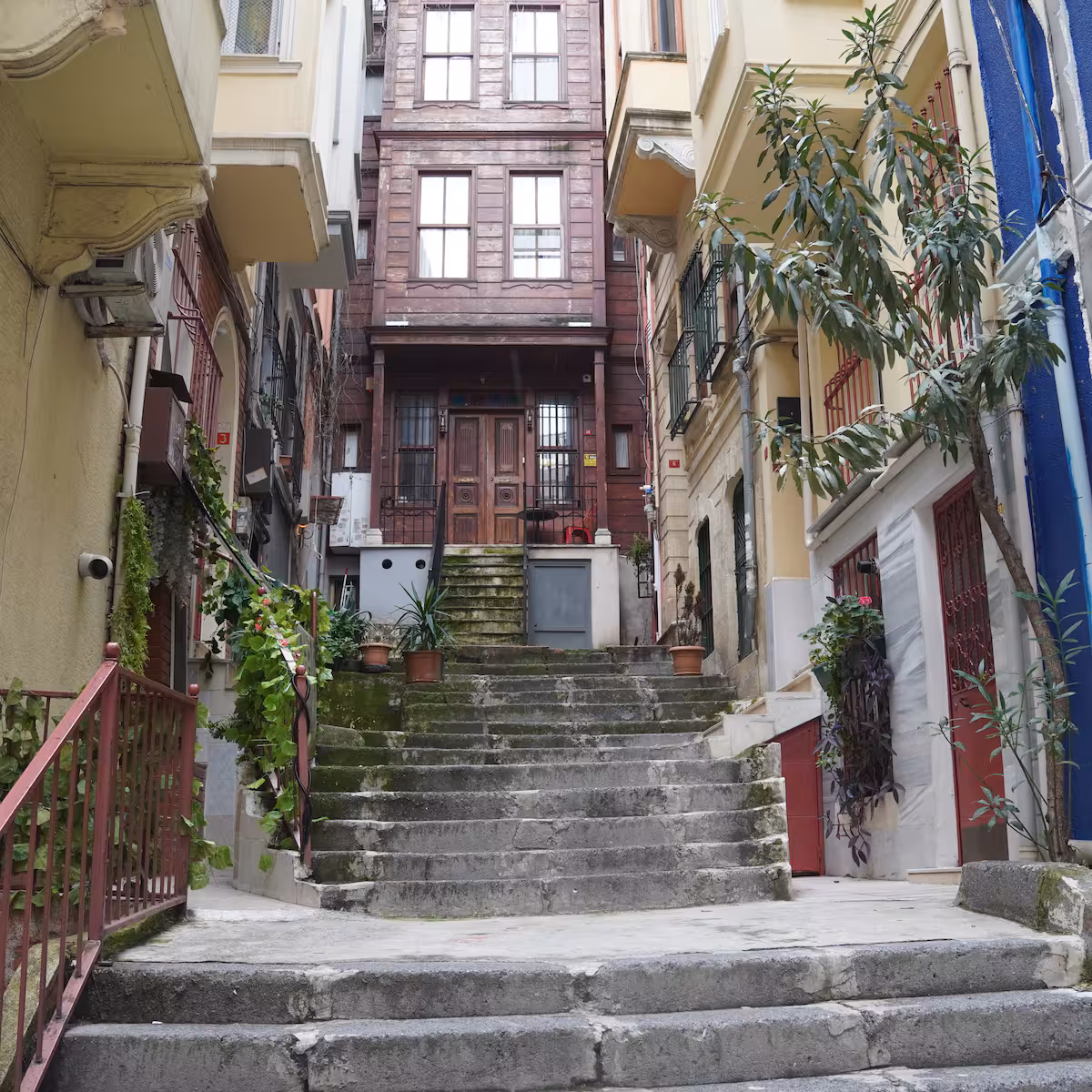 Kirşi 1