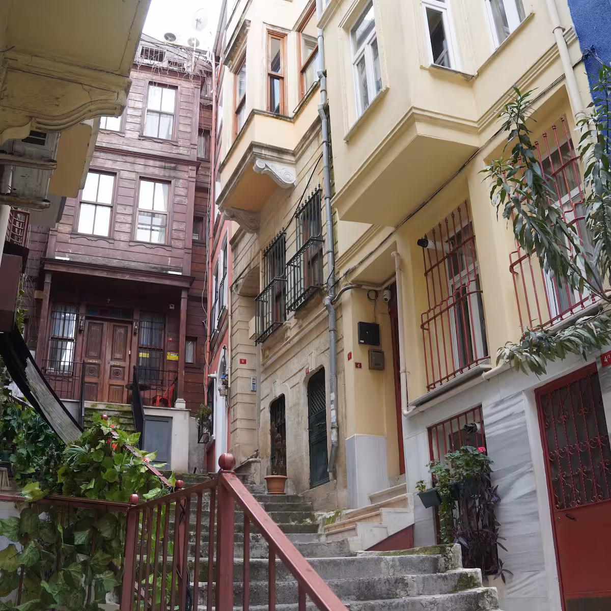 Kirşi 1