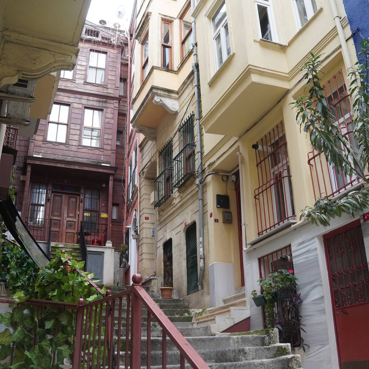 Kirşi 4