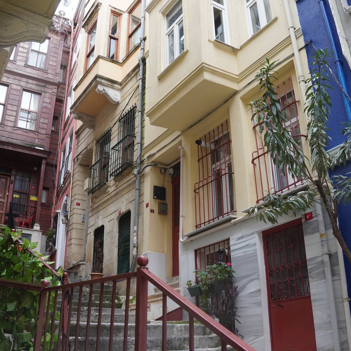 Kirşi 3