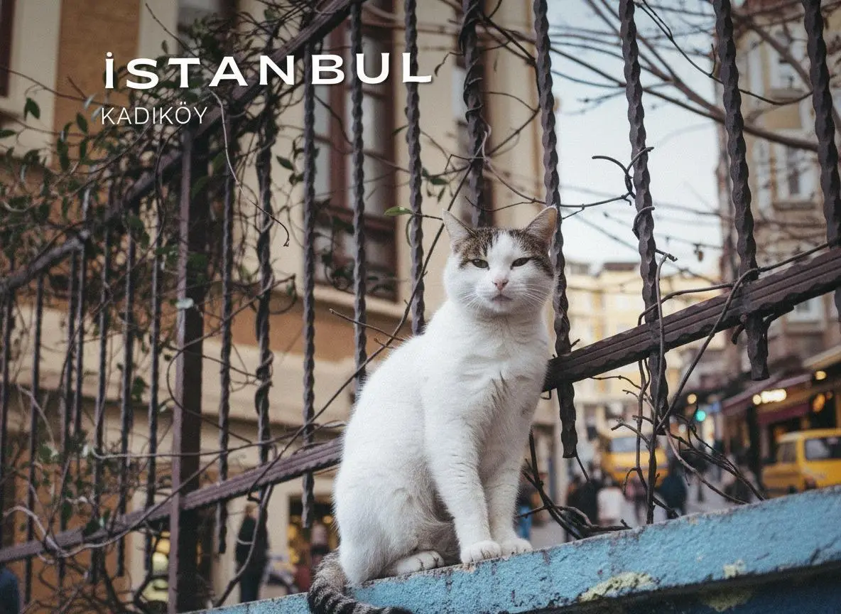 Affordable Istanbul Travel: Kadıköy